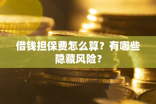 武汉借钱担保费怎么算？有哪些隐藏风险？