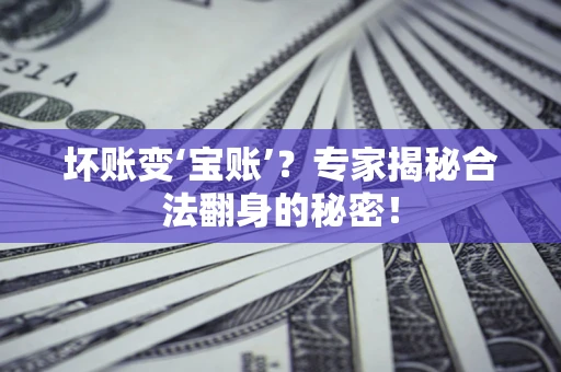 武汉坏账变‘宝账’？专家揭秘合法翻身的秘密！