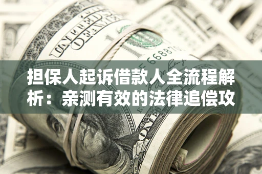 武汉担保人起诉借款人全流程解析：亲测有效的法律追偿攻略