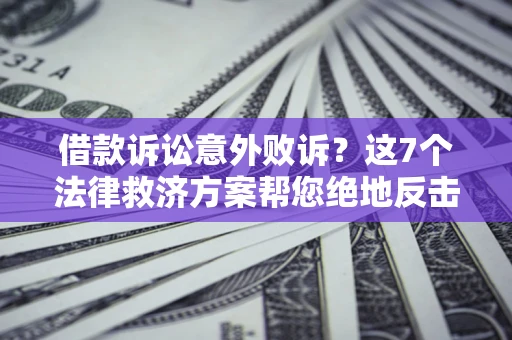 武汉借款诉讼意外败诉？这7个法律救济方案帮您绝地反击！