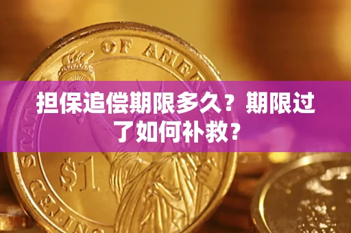 武汉担保追偿期限多久？期限过了如何补救？