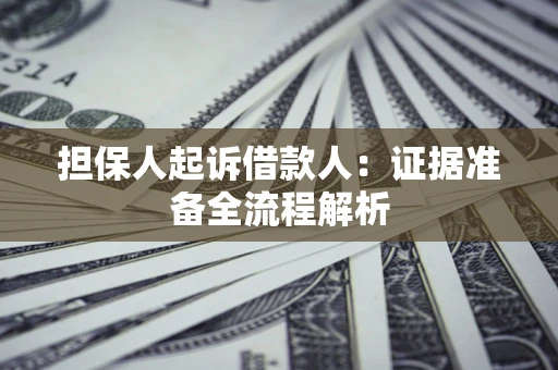 武汉担保人起诉借款人：证据准备全流程解析