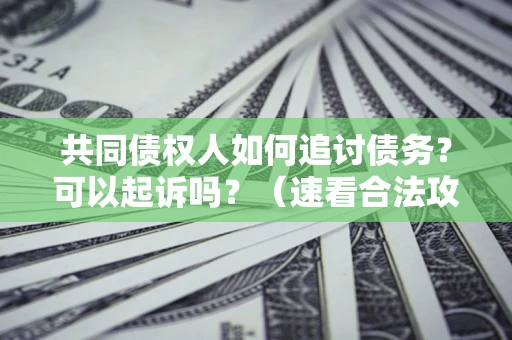 武汉共同债权人如何追讨债务？可以起诉吗？（速看合法攻略）